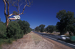 Road, roads, sealed road, sealed roads, NSW, New South Wales, Australia, roadsign, roadsigns, road sign, road signs, car, cars, vehicle, vehicles.