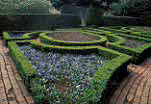 Europe, Western Europe, UK, Britain, British Isles, England, United Kingdom, Great Britain, Gloucester, Gloucestershire, cotswolds, Topiary, hedge, hedges, hedging, Hidcote, Hidcote Manor, garden, gardens, english garden, english gardens, manor, manors, hidcote manor garden, chipping camden.