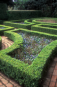 Europe, Western Europe, UK, Britain, British Isles, England, United Kingdom, Great Britain, cotswolds, Topiary, hedge, hedges, hedging, Hidcote, Hidcote Manor, garden, gardens, english garden, english gardens, manor, manors, hidcote manor garden, chipping camden.