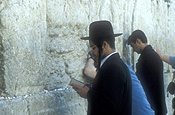 Israel, jerusalem, jew, jews, jewish, orthodox, religions, wailing, hats, headwear, man, men, male, males, wall, walls, wailing wall, hat, hats, beard, beards, pray, prays, praying, prayer, prayers, book, books, bible, bibles, religion, religious.