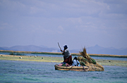 Peru, peruvian, titicaca, lake titicaca, boat, boats, boating, watercraft, row boat, row boats, rowboat, rowboats, rowingboat, rowingboats, rowing boat, rowing boats, lake, lakes, reed, reeds, water.