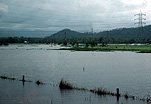 Climate, disaster, disasters, natural disaster, natural disasters, weather, flood, floods, flooding, flooded, river, rivers, water, namoi river, wee waa, aerial, aerials, farm land, farming land, rural, rural scene, rural scenes, qld, queensland, australia.