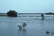 Climate, disaster, disasters, natural disaster, natural disasters, weather, flood, floods, flooding, flooded, river, rivers, water, qld, queensland, australia, field, fields, farm land, farming land, rural, rural scene, rural scenes, agriculture.