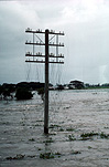 Climate, disaster, disasters, natural disaster, natural disasters, weather, flood, floods, flooding, flooded, river, rivers, water, rural, rural scene, rural scenes, nsw, new South Wales, australia, power line, power lines, power pole, power poles, electricity, electricity pole, electricity poles, danger, dangerous, electrocution.