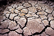 Climate, weather, drought, drought scene, drought scenes, disaster, disasters, natural, natural disaster, natural disasters, mud, cracked mud, dried mud, australia, outback, australian outback, outback australia, NT, Northern Territory, crack, cracks, cracked, cracking.