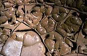 Climate, weather, drought, drought scene, drought scenes, disaster, disasters, natural, naural disaster, murray, murray basin, basin, basins, natural disasters, mud, cracked mud, dried mud, willandra, lake, lakes, willandra lakes, New South Wales, NSW, Australia, crack, cracks, cracked, cracking.