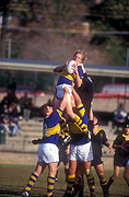 Australian, People, outdoors, rugby, ball, balls, football, footballs, sport, football, football game, football games, footballer, footballers, men, man, male, males, australia.