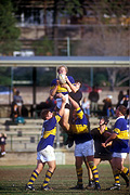 Australian, People, outdoors, rugby, ball, balls, football, footballs, sport, football, football game, football games, footballer, footballers, men, man, male, males, australia.