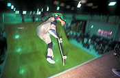 Sport pictures, Sports, skateboard, skateboards, skateboarding, skateboard rider, skateboard riders, teenager, teenagers, adolescent, adolescents, male, males, teenage boy, teenage boys, indoors, rink, rinks.