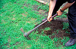 Garden, gardens, gardening, gardener, gardeners, man, men, male, males, outdoors.