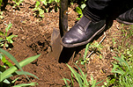 Garden, gardens, gardening, gardener, gardeners, spade, spades, tool, tools, gardening tool, gardening tools, dig, digs, digging, soil, garden tool, garden tools.
