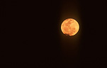 Moon, moons, the moon, full moon, full moons, circle, circles, moonrise, moonrises, sky, skies, sky scene, sky scenes, planet, planets, terrestrial planet, night, nights, nightime, nightimes.
