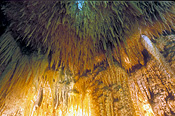 Australia, Geology, cave, caves, caving, jewel, jewel cave, jjewel caves, WA, Western Australia.