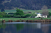 Australia, tas, tassie, tasmania, bicheno, farm, farms, farming, water, rural, rural scene, rural scenes, house, houses, housing, river, rivers, sheep, architecture, tree, trees.