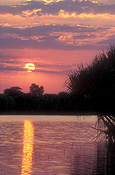 Australia, NT, Northern Territory, kakadu national park, kakadu NP, sun, suns, sunsets, sunrises and sunsets, mood, mood scene, mood scenes, sunset, river, water, water scene, water scenes, mary river, kakadu, National Park, National Parks, sun, the sun.