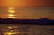 Sea, Seas, Seascape, Seascapes, ocean, oceans, sunrise, sunrises, sunrises and sunsets, water, mood, mood scene, mood scenes, Australia, Qld, Queensland, wave, waves, Fraser Island.