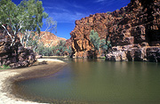 Australia, NT, Northern Territory, gorge, gorges, macdonnell, macdonnell ranges, cliff, cliffs, water, tree, trees, eucalyptus, eucalyptus tree, eucalyptus trees, gum tree, gum trees.