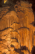 Geology, cave, caves, caving, jewel, jewel cave, karri forest, WA, Western Australia, Australia.