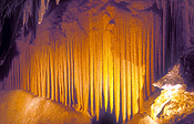 Australia, WA, Western Australia, cave, caves, caving, jewel, jewel cave, organ pipes, the organ pipes.