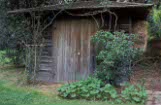 Garden structures, shed, sheds, garden shed, garden sheds, garden, gardens, IS47,