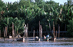 Asia, Asian, Southeast Asia, South East Asian, SE Asia, malaysia, boat, boats, fishermen, fisherman, fishing, fishing boat, fishing boats.