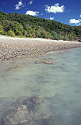Australia, Beach, Beaches, water, coast, coasts, coastal, coastline, coastlines, coral beach, conway, conway np, conway national park, qld, queensland, water.