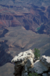 America, USA, U.S.A, Arizona, canyon, canyons, grand canyon, FF25,