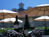 USA, America, united states, united states of america, napa, napa valley, california, label, labels, wine, wine bottle, wine bottles, bottle, bottles, alcohol, umbrella, umbrellas, winery, wineries, charles krug winery, vineyard, vineyards, grape, grapes, bunch of grapes, bunches of grapes, FF25,