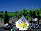 USA, America, united states, united states of america, napa, napa valley, california, label, labels, wine, wine bottle, wine bottles, bottle, bottles, alcohol, winery, wineries, charles krug winery, vineyard, vineyards, glass, glasses, wine, wine glass, wine glasses, FF25,