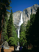 America, USA, United States, United States of America, California, National Park, National Parks, Yosemite, Yosemite NP, Yosemite National Park, waterfall, waterfalls, yosemite falls, water, running water, tree, trees, valley, valleys, fir, fir tree, fir trees, FF25,