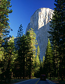 America, USA, United States, United States of America, California, National Park, National Parks, Yosemite, Yosemite NP, Yosemite National Park, el capitan, mountain, mountains, road, roads, sealed road, sealed roads, tree, trees, forest, forests, woods, FF25,