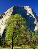 America, USA, United States, United States of America, California, National Park, National Parks, Yosemite, Yosemite NP, Yosemite National Park, mountain, mountains, tree, trees, valley, valleys, FF25,