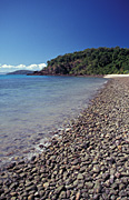 Australia, Beach, Beaches, water, coast, coasts, coastal, coastline, coastlines, coral beach, conway, conway np, conway national park, qld, queensland, water, pebble, pebbles.