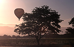 Sport pictures, Sports, balloon, balloons, hot air balloon, hot air balloons, hot-air balloon, hot-air balloons, california, USA, United States, United States of America, Napa Valley, america, FF25,