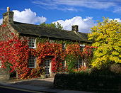 Europe, Western Europe, UK, Britain, British Isles, England, United Kingdom, roof, roofs, rooves, Great Britain, autumn scene, autumn scenes, derbyshire, baslow, cottage, cottages, architecture, house, houses, housing, autumn, autumn scene, autumn scenes, ivy, hedera, village, villages, chimney, chimneys, FF25,