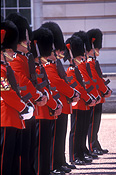 Europe, Western Europe, UK, Britain, British Isles, England, United Kingdom, Great Britain, London, palace, palaces, buckingham palace, buckingham, architecture, english, people, guard, guards, uniform, uniforms, hat, hats, soldier, soldiers, queens guards, parade, parades, FF25,
