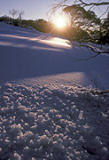 Climate, weather, winter, winter scene, winter scenes, snow, cold, coldness, snow scene, snow scenes, National Park, National Parks, kosciusko, great dividing range, kosciusko national park, jindabyne, Snowy Mountains, NSW, New South Wales, Australia, sun, the sun.