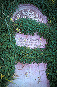 Australia, grave, graves, graveyard, graveyards, grave yard, grave yards, cemetery, cemeteries, headstone, headstones, head stone, head stones, gravestone, gravestones, grave stone, grave stones, tombstone, tombstones, tomb stone, tomb stones, burial, burials, burial ground, burial grounds, death, deaths.
