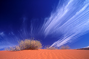 Australia, Australian, Australian desert, Australian deserts, desert, deserts, desert scenes, simpson, simpson desert, simpson, dune, dunes, sand dune, sand dunes, national park, national parks, simpson desert national park, simpson desert np, dry, outback, australian outback, outback australia, remote, vegetation, cloud, clouds.