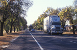 Transport, transportation, vehicle, vehicles, heavy vehicle, heavy vehicles, Truck, Trucks, road, roads, sealed road, sealed roads, heavy vehicle, heavy vehicles, speed sign, speed signs, road sign, road signs, Victoria, Vic, Australia, tree, trees.