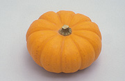 Vegetable, vegetables, Cucurbitaceae, Cucurbita, Cucurbita pepo, pepo, Pumpkin, Pumpkins.