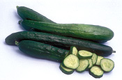 Vegetable, vegetables, suhyo, Cucurbitaceae, Cucumis, sativus, cucumis sativus, cucumber, cucumbers, japanese, japanese cucumber, japanese cucumbers.