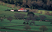 Australia, New South Wales, Farm, Farms, Farming, Rural, Rural scene, Rural scenes, house, houses, housing.