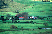 Australia, New South Wales, house, houses, farm, farms, farm building, farm buildings, farm house, farm houses, farmhouse, farmhouses, rural, rural scene, rural scenes.