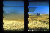 Australia, Farming, Farmland, farm, farms, Rural, Rural scene, Rural scenes, farm, farms, farming, silo, silos, grain, grain storage, storage, Western Australia, window, windows, glass, louvre, louvres, louvre window, louvre windows.