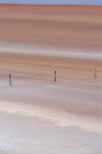 Australia, WA, Western Australia, Goldfields, Fence, Fences, lake, lakes, Lake Rebecca, dry lake, dry lakes, evaporate, evaporates, evaporating, evaporation, salt, salt lake, salt lakes.