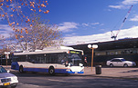 Transport, transportation, vehicle, vehicles, bus, buses, sydney bus, sydney buses, heavy vehicle, heavy vehicles, Sydney, NSW, New South Wales, Australia, sydney, street lamp, street lamps.