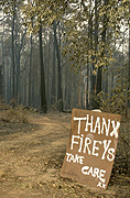 Australia, sign, signs, NSW, New South Wales, Sydney, natural, natural disaster, natural disasters, Fire, Fires, bushfire, bushfires, burnt, disaster, disasters, sydney bushfire, sydney bushfires.
