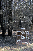 Disaster, disasters, natural disaster, natural disasters, Fire, Fires, Bushfire, Bushfires, Australia, NSW, sydney, new South Wales, burn, burns, burning, burnt, flame, flames, TREE, TREES.