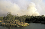 Disaster, disasters, natural disaster, natural disasters, Fire, Fires, Bushfire, Bushfires, Australia, NSW, sydney, new South Wales, smoke, dam, dams, tree, trees, forest, forests.